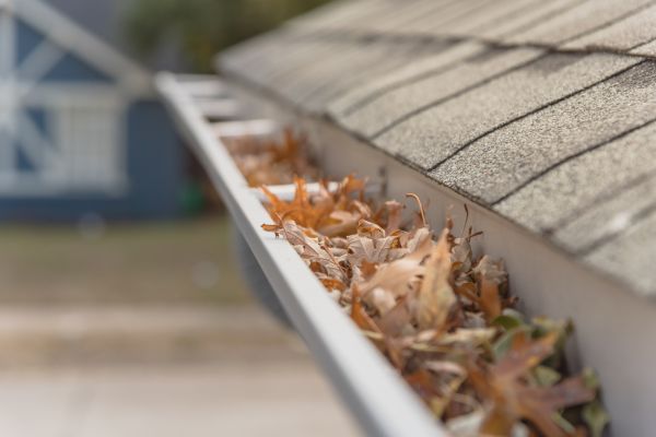 Leaf Barrier Installation in Nashville