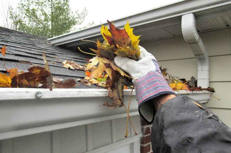 Inspecting Gutter Covers in Late Summer