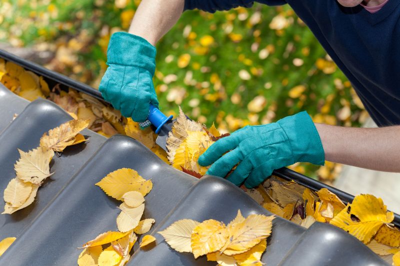 Fall Leaf Removal